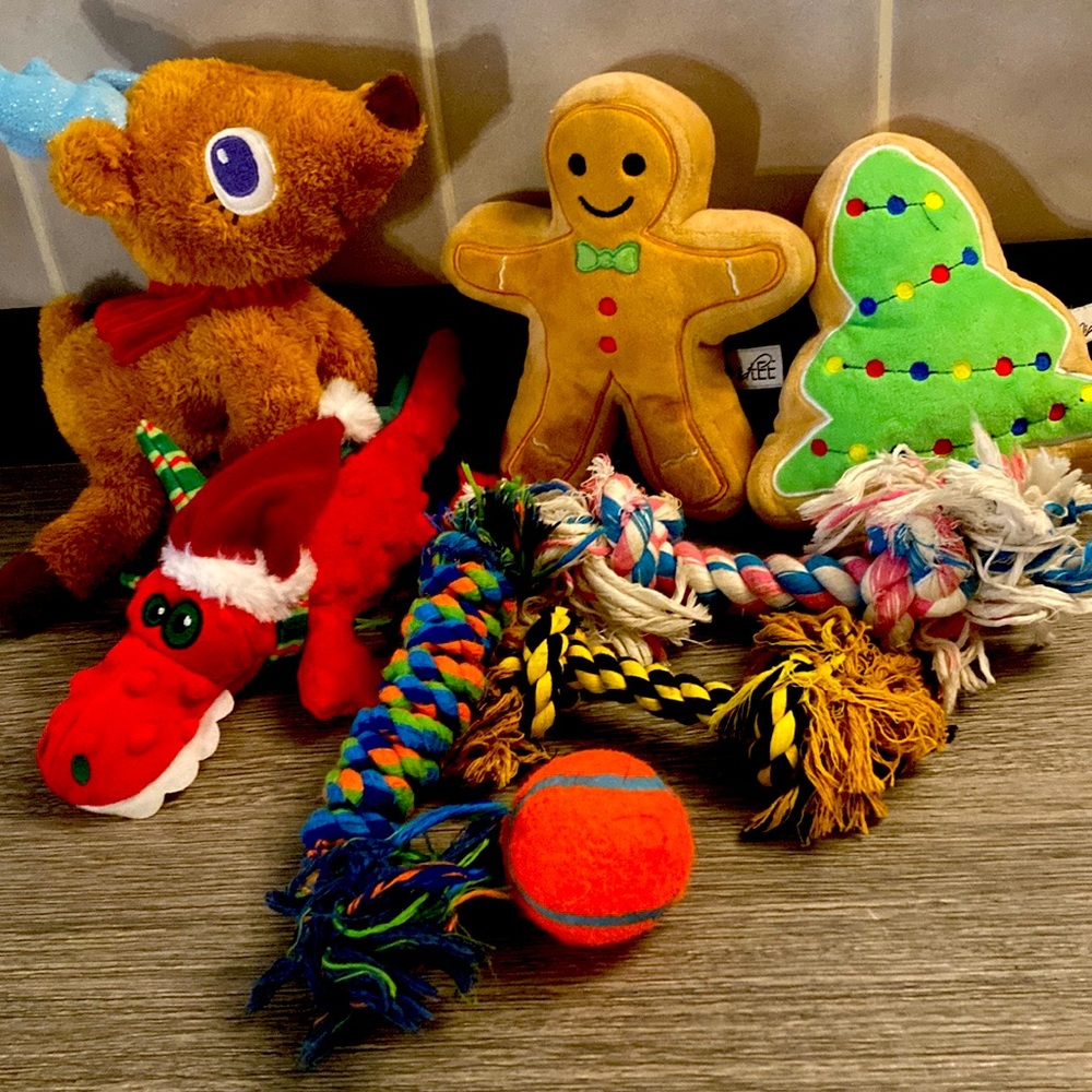 Dog Toy Bundle